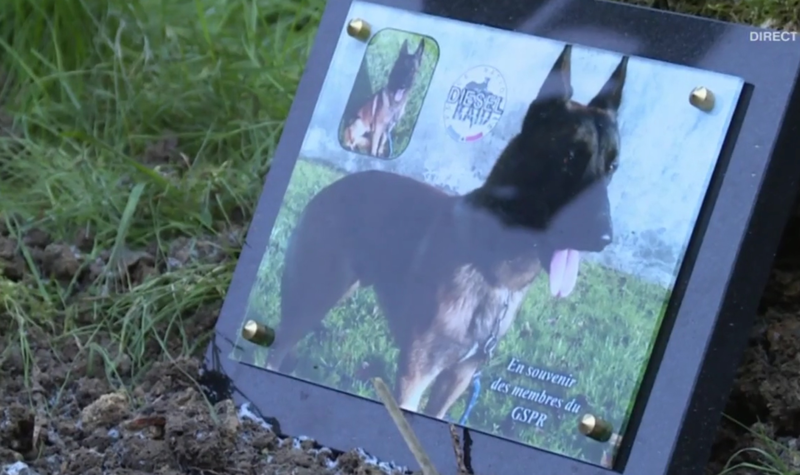 sepulture-diesel-Raid-1