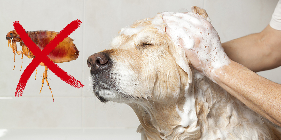 Screen-Shot-2015-08-20-at-14.16.381