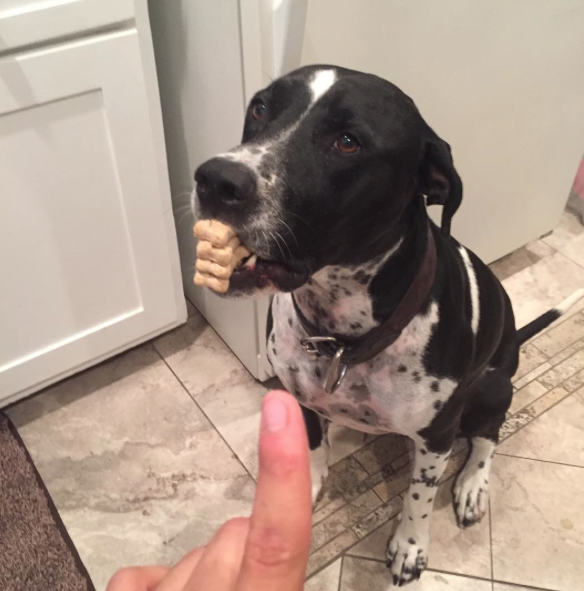 Screen Shot 2015-10-14 at 09.43.00