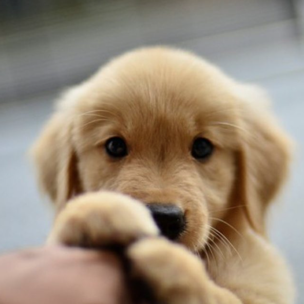 Screen Shot 2015-10-14 at 10.06.15