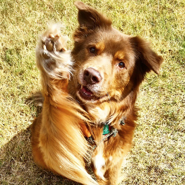 Screen Shot 2015-10-14 at 10.19.44