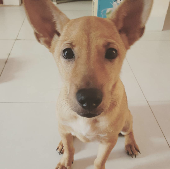 Screen Shot 2015-10-14 at 10.08.54