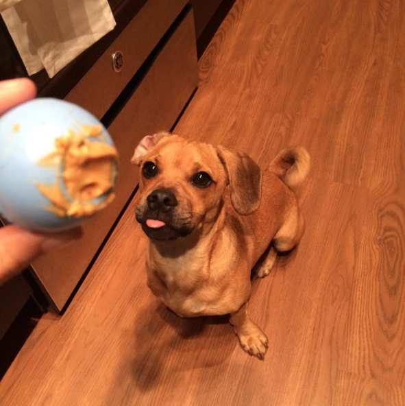 Screen Shot 2015-10-14 at 10.13.51