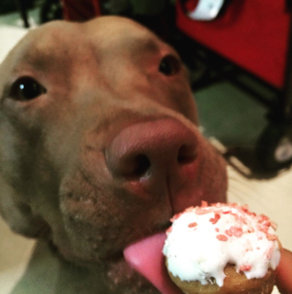 Screen Shot 2015-10-14 at 10.14.54