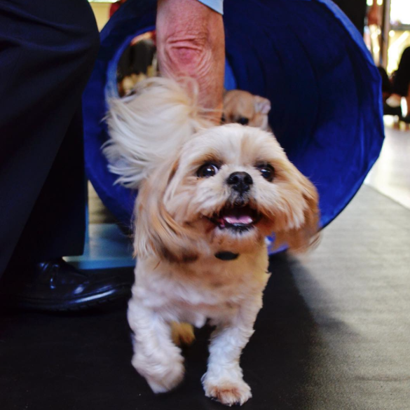 Screen Shot 2015-10-14 at 10.21.53