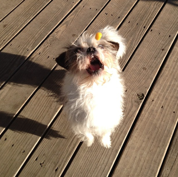 Screen Shot 2015-10-14 at 10.17.07