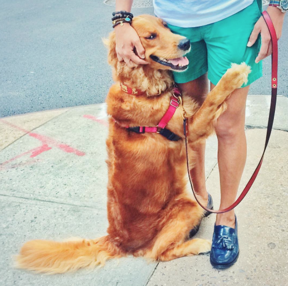 Screen Shot 2015-10-14 at 10.23.03