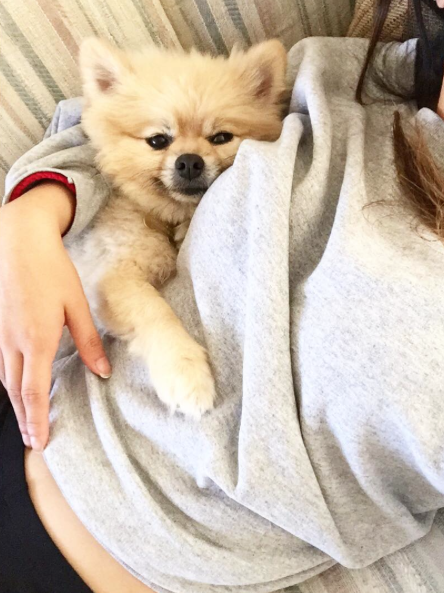 Screen Shot 2015-10-14 at 10.22.30