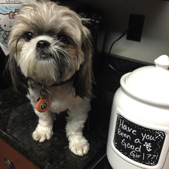 Screen Shot 2015-10-14 at 10.07.12