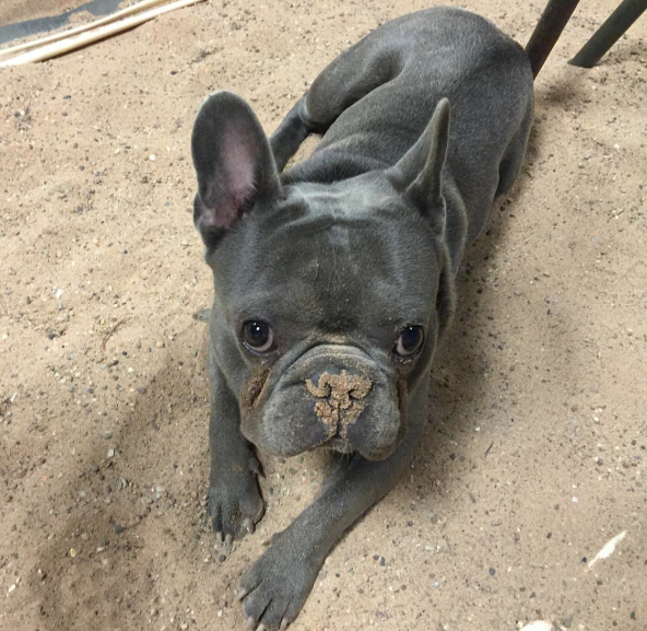 Screen Shot 2015-10-14 at 09.46.33