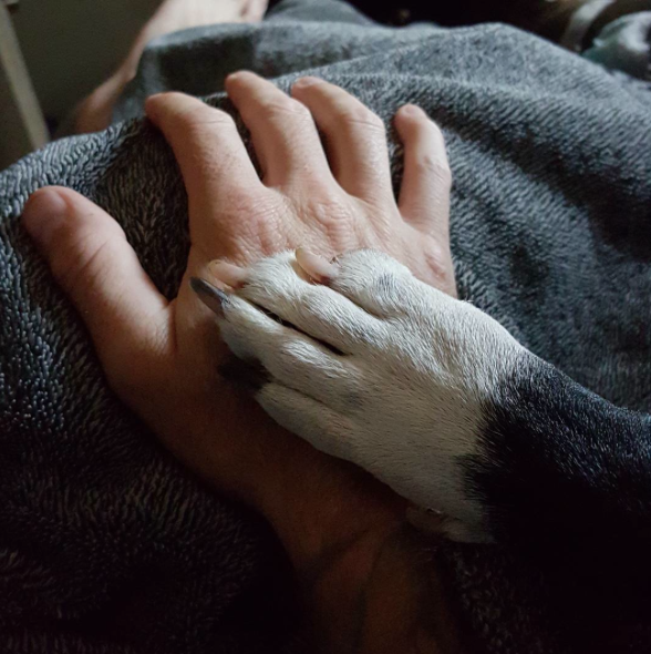 Screen Shot 2015-10-14 at 10.24.43