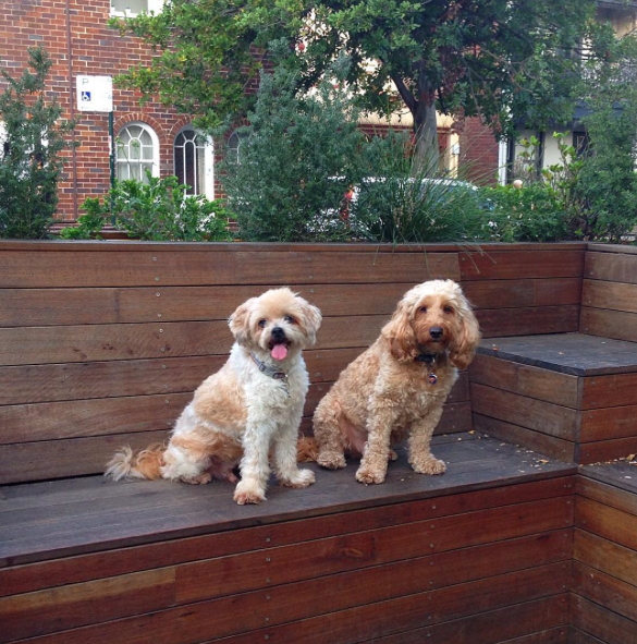 Screen Shot 2015-10-14 at 10.21.20