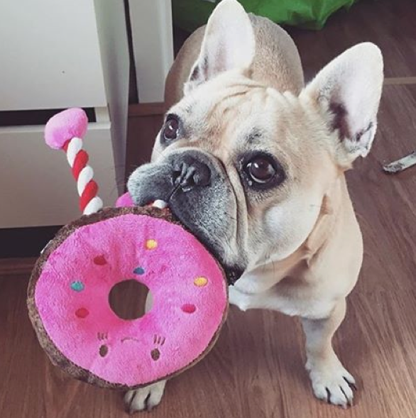 Screen Shot 2015-10-14 at 10.20.53