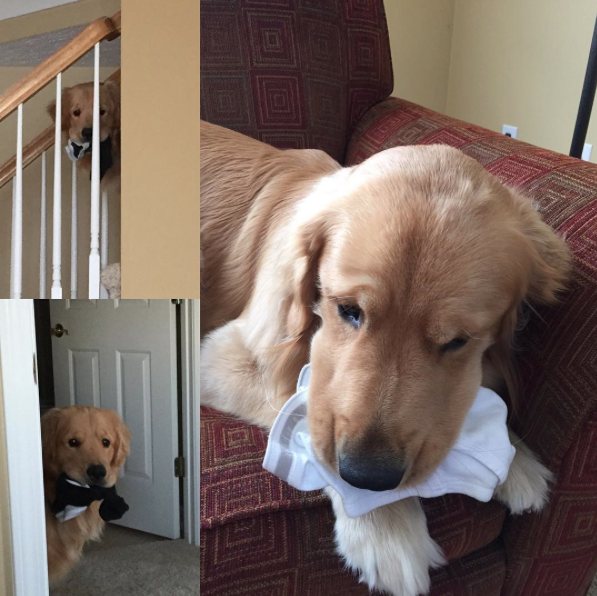 Screen Shot 2015-10-14 at 10.07.52