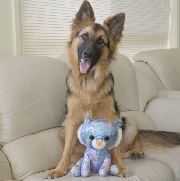 Screen Shot 2015-10-14 at 10.12.54