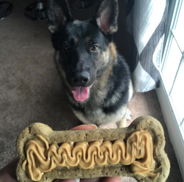 Screen Shot 2015-10-14 at 10.16.13