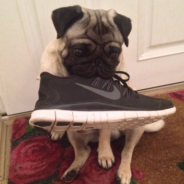 Screen Shot 2015-10-14 at 09.45.09