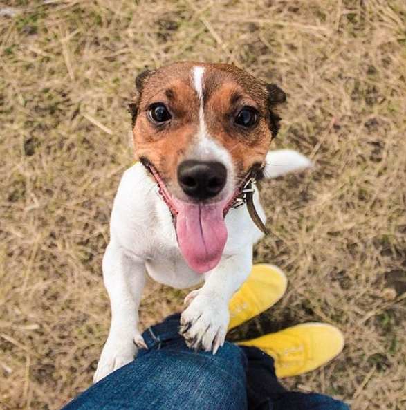 Screen Shot 2015-10-14 at 10.20.36