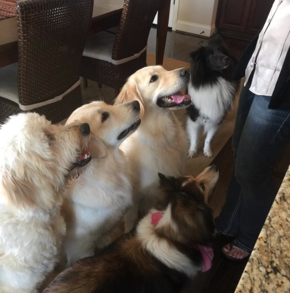 Screen Shot 2015-10-14 at 09.42.53