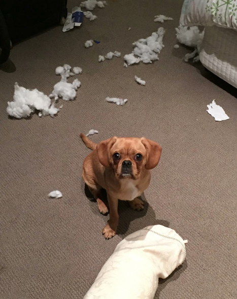 Screen Shot 2015-10-14 at 10.08.25