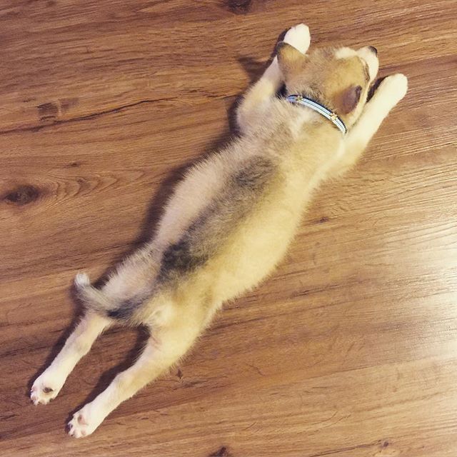 superman sleeping position