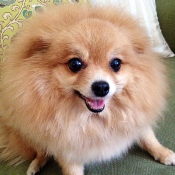 Screen Shot 2015-08-27 at 17.39.55