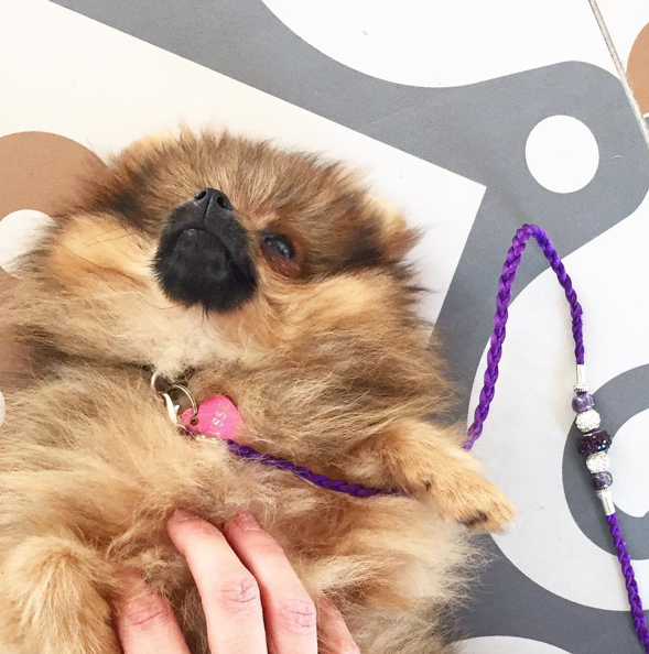 Screen Shot 2015-08-27 at 17.38.20