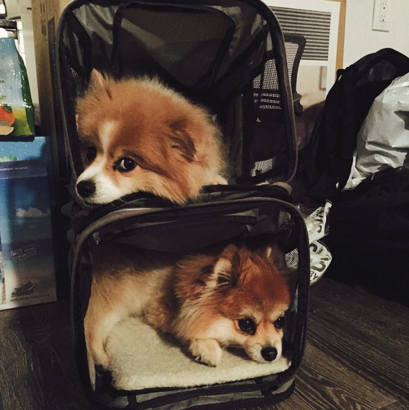 Screen Shot 2015-08-27 at 17.42.29