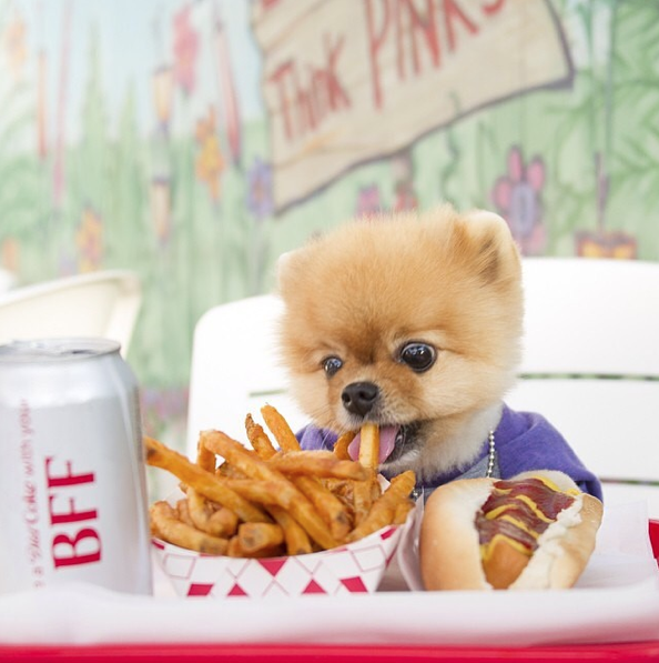 Screen Shot 2015-08-27 at 15.25.17