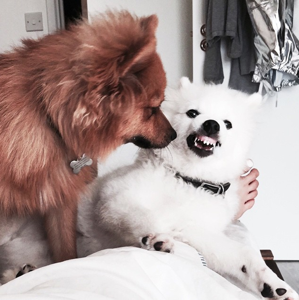 Screen Shot 2015-08-27 at 17.41.12