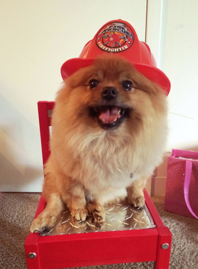 Screen Shot 2015-08-27 at 17.44.04