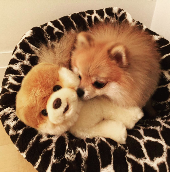 Screen Shot 2015-08-27 at 17.36.30