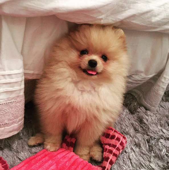 Screen Shot 2015-08-27 at 17.35.45