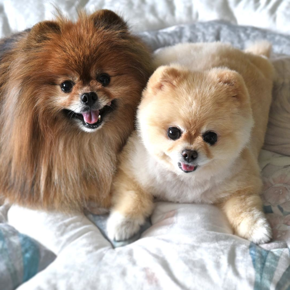 Screen Shot 2015-08-27 at 17.41.34