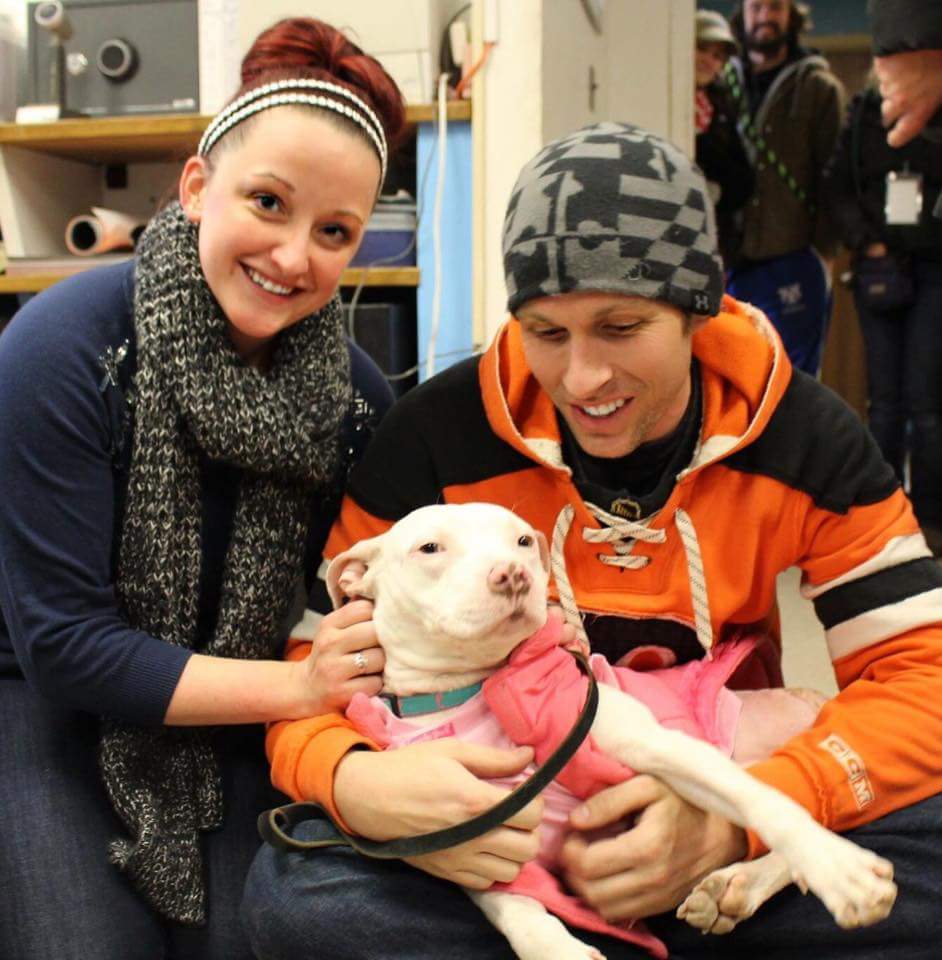 dog-hit-train-adopted-8