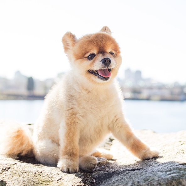 Screen Shot 2015-08-27 at 17.35.05