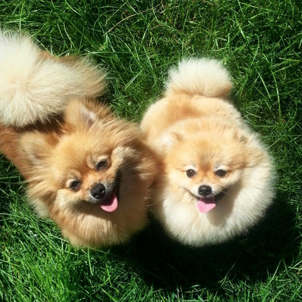 Screen Shot 2015-08-27 at 17.40.35