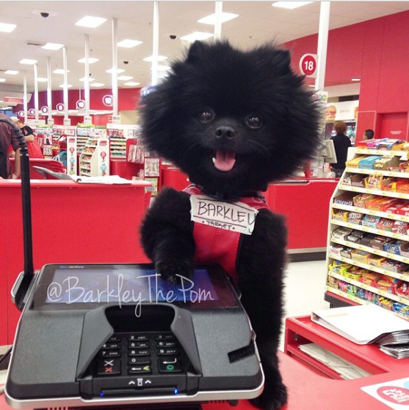 Screen Shot 2015-08-27 at 15.24.34