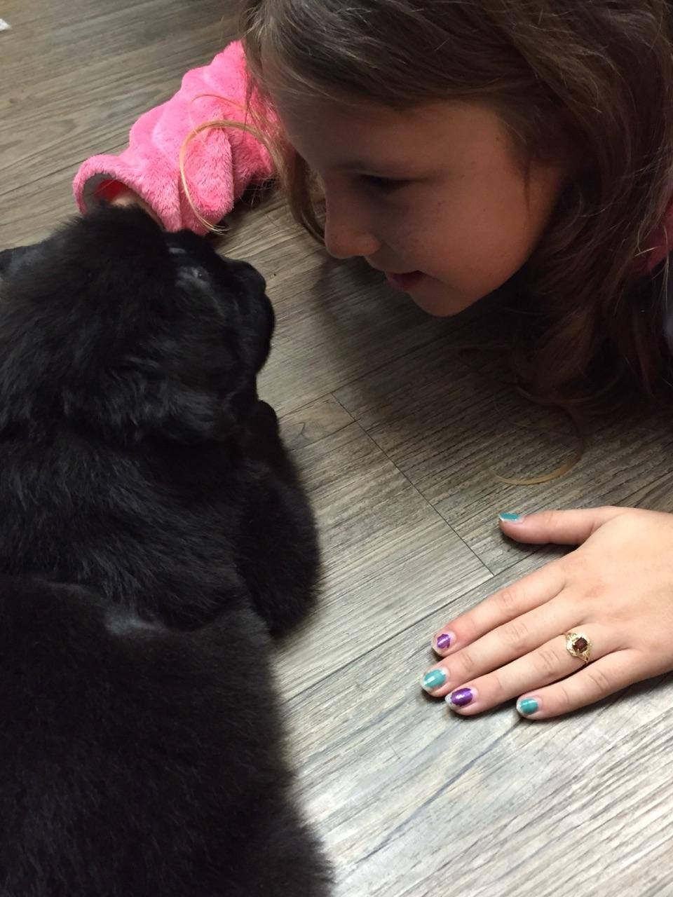 brody-chiot-18-balles-9