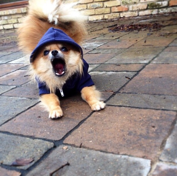 Screen Shot 2015-08-27 at 17.33.54