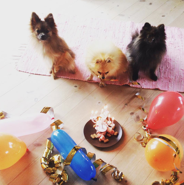 Screen Shot 2015-08-27 at 17.41.56