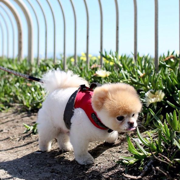 Screen Shot 2015-08-27 at 15.24.55