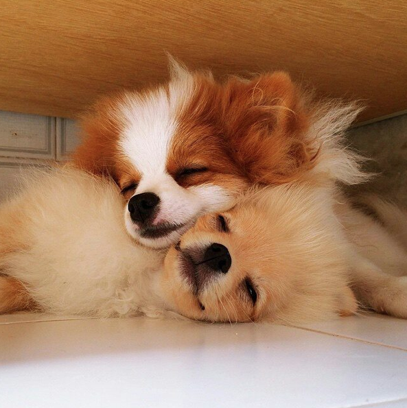 Screen Shot 2015-08-27 at 17.40.17