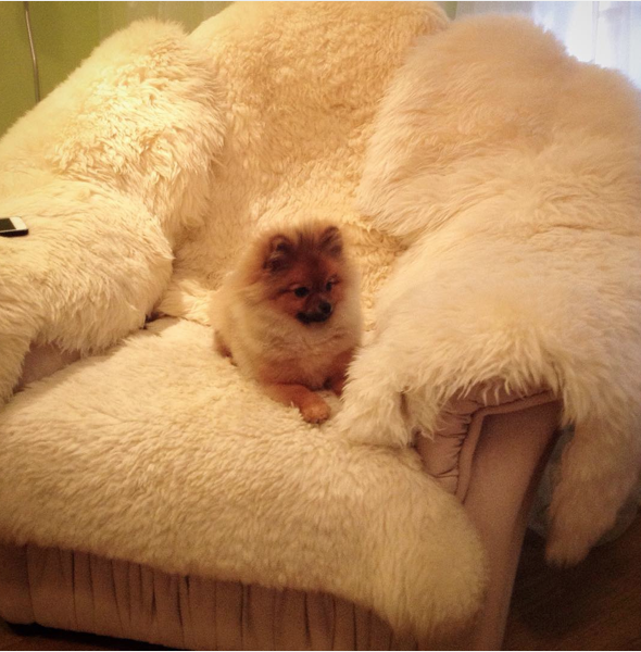 Screen Shot 2015-08-27 at 17.37.25