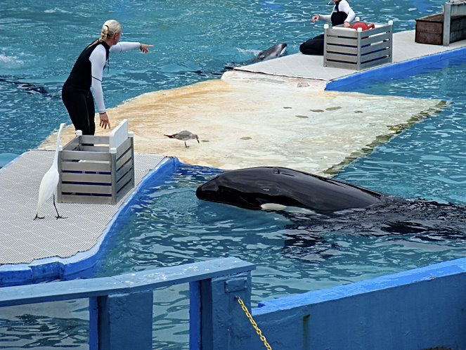 seaworld-peta-spy-2