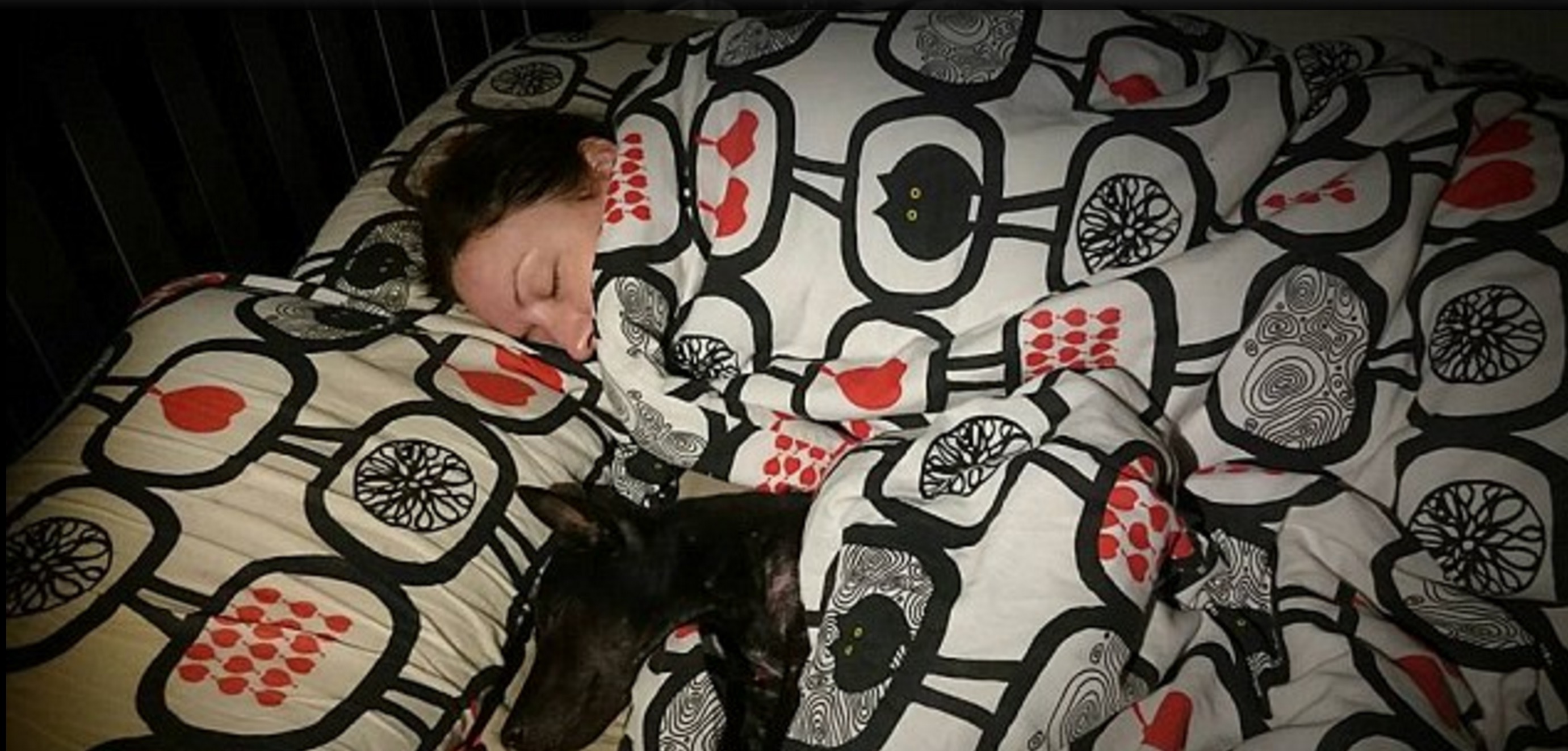 lune-de-miel-chien-adoption-4