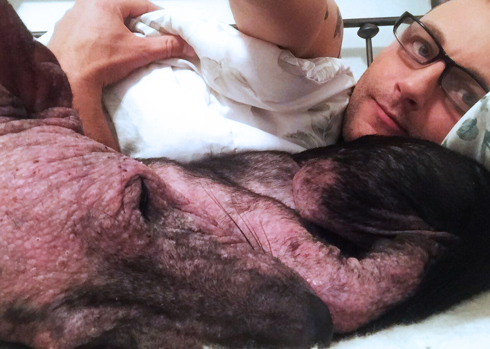 lune-de-miel-chien-adoption-10