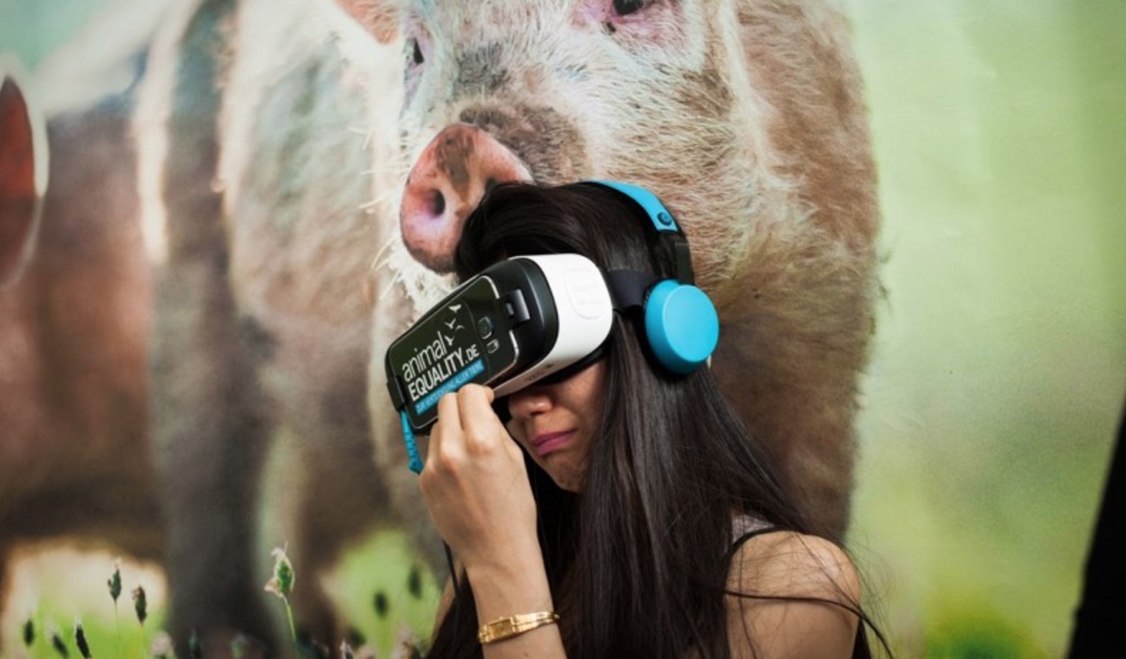 iAnimal-immersion-elevage-6