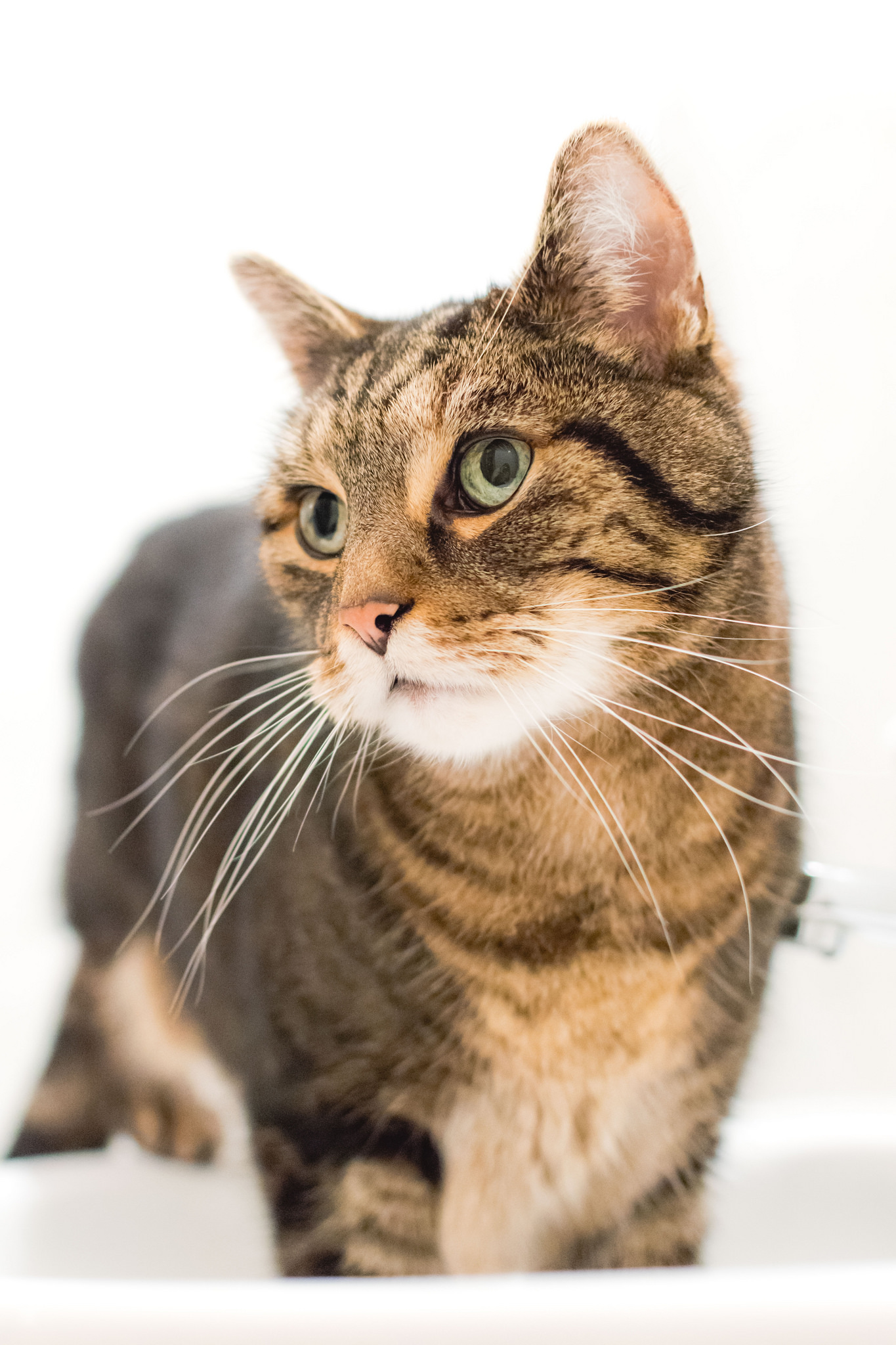 chat-beautiful-communication