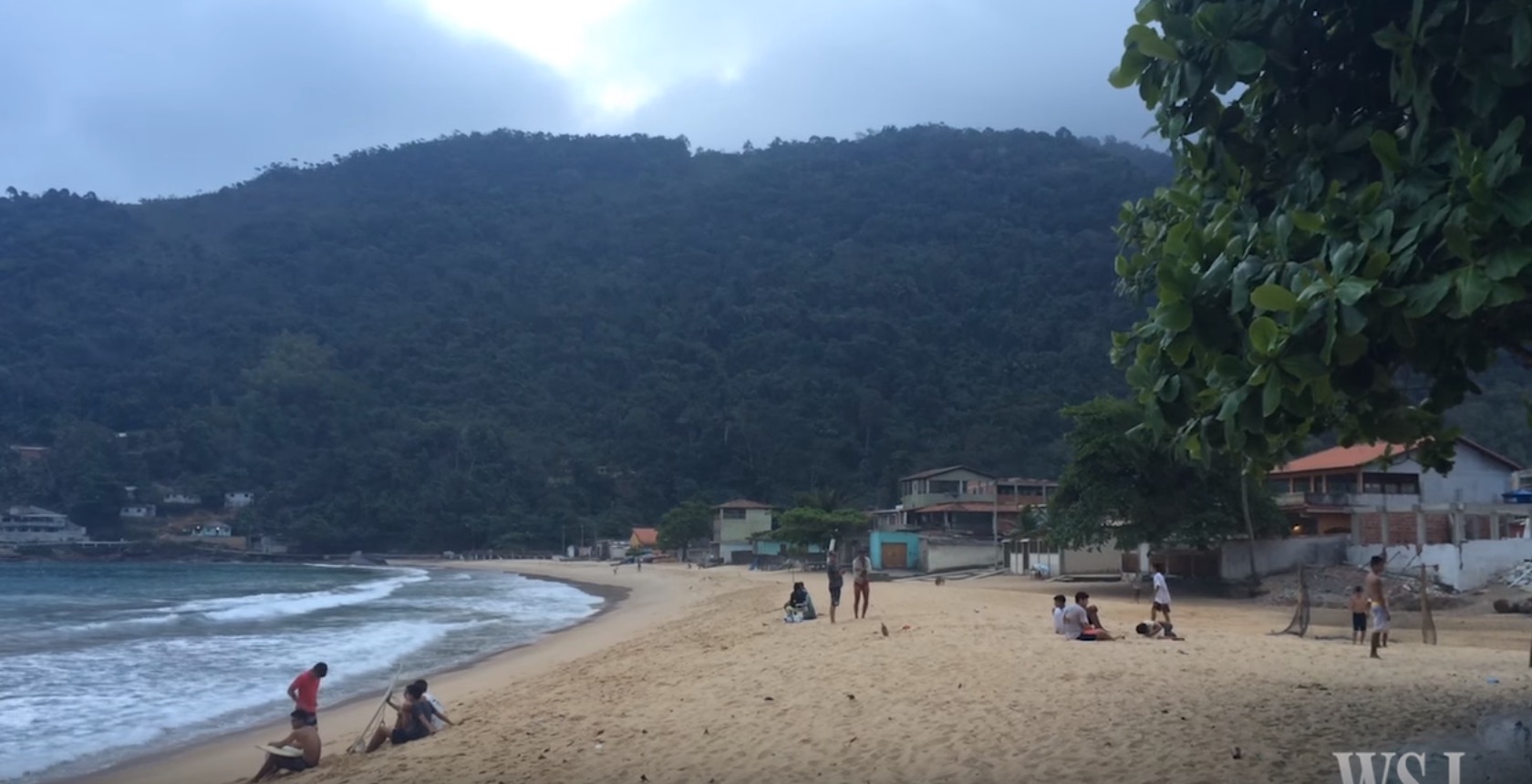 dindim-manchot-sauveur-11